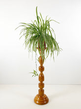 Afbeelding in Gallery-weergave laden, Plantenstandaard
