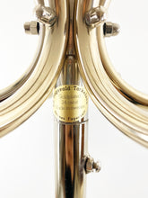 Load image into Gallery viewer, Gold plated coat rack
