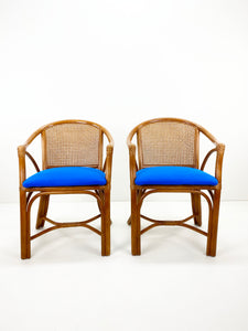 Rotan Fauteuils (set van 2)