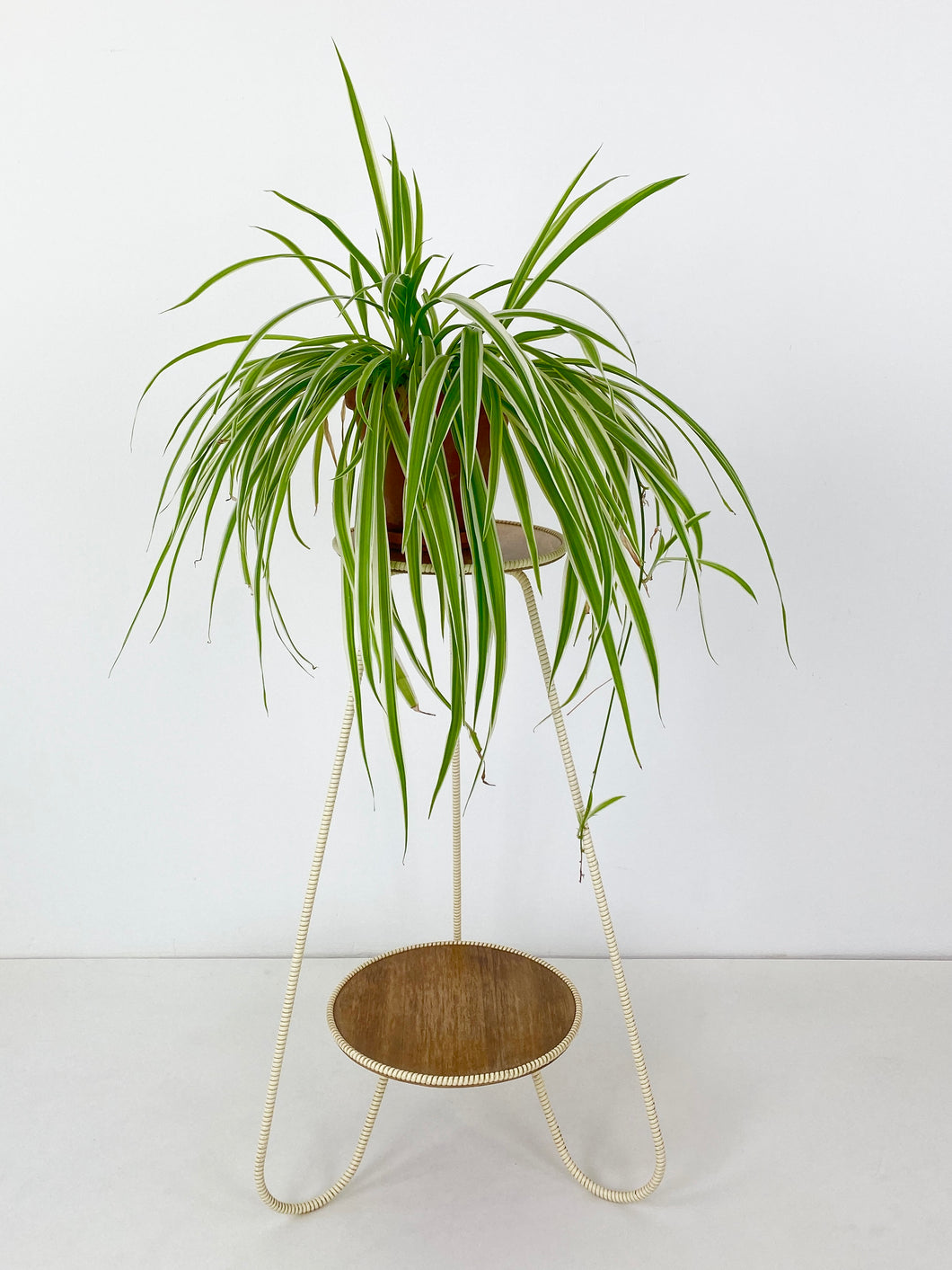 Plant Pedestal